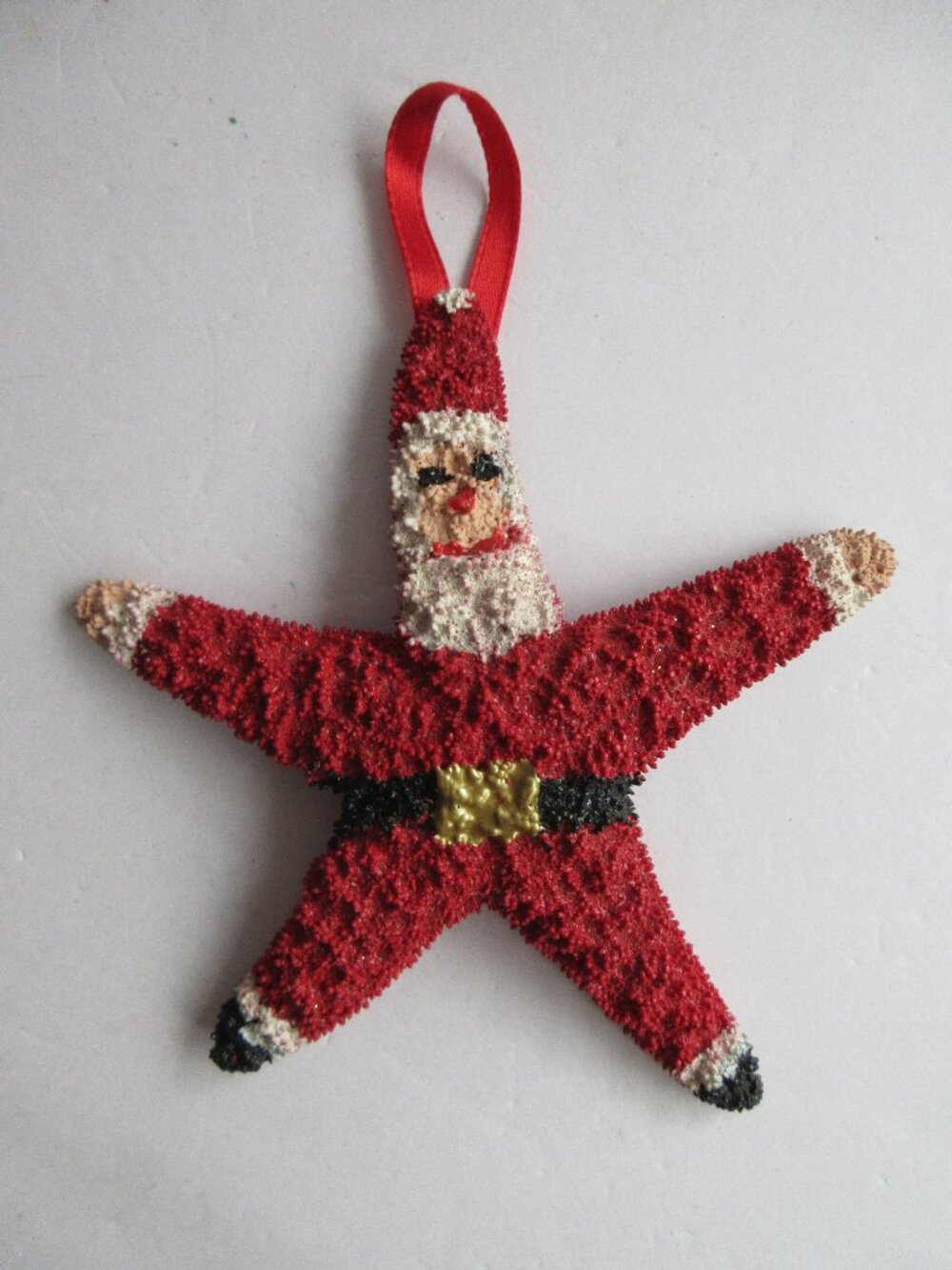 Real  Starfish Painted Santa Claus Christmas Tree Ornament Beach Ocean Coastal